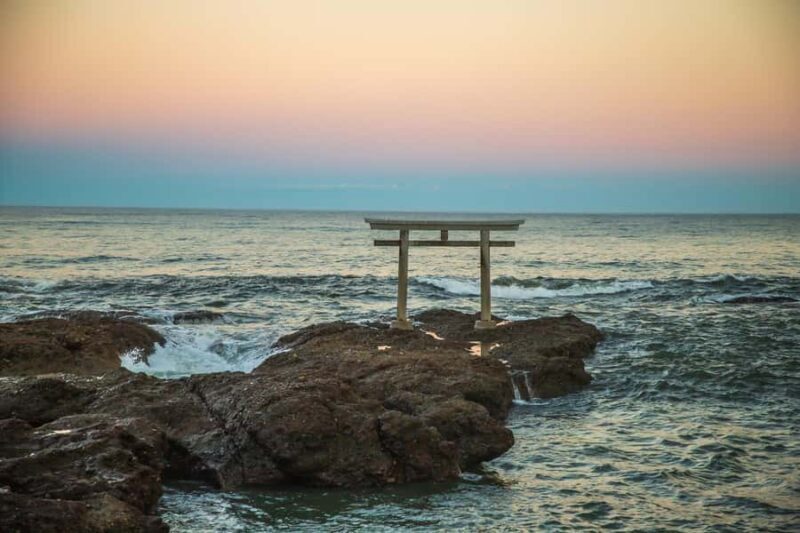 From Tokyo: Hitachi Seaside Park, Sea Torii & Great Buddha - From Tokyo: Hitachi Seaside Park, Sea Torii & Great Buddha – A Full Day of Natural Beauty and Cultural Wonders