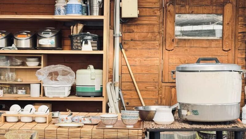 From Tokyo: Kaisei Tea Leaf Picking & Farm-to-Table Lunch - Final Thoughts: Is This Tour Right for You?