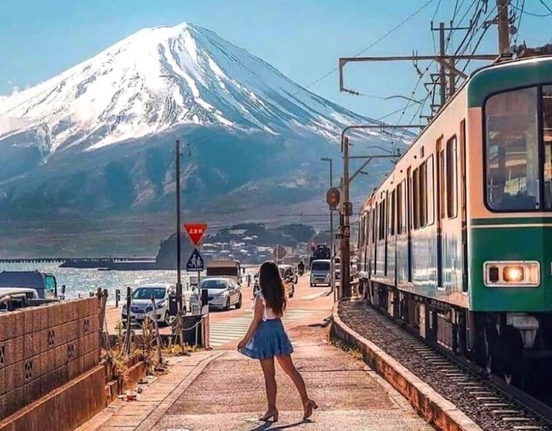 From Tokyo: Kamakura and Enoshima Full-Day Private Trip - Practical Tips for Making the Most of Your Day