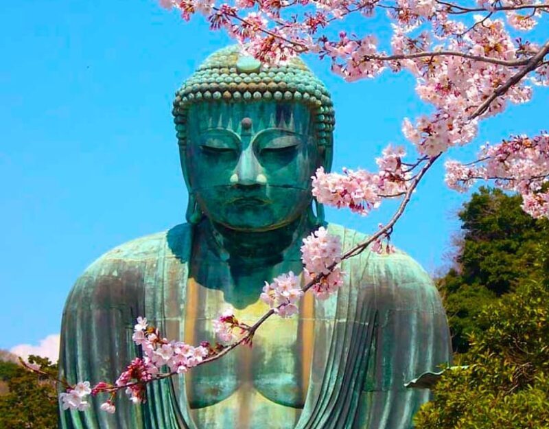 From Tokyo: Kamakura and Enoshima Full-Day Private Trip - Bonus Stops & Hidden Gems