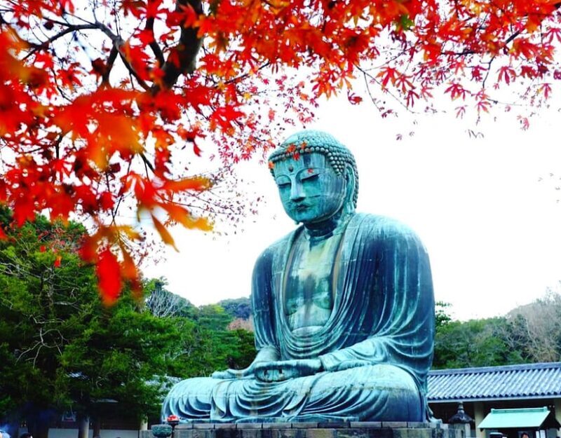 From Tokyo: Kamakura and Enoshima Full-Day Private Trip - Who Should Consider This Tour?