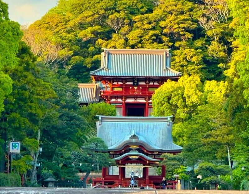 From Tokyo: Kamakura and Enoshima Full-Day Private Trip - FAQs