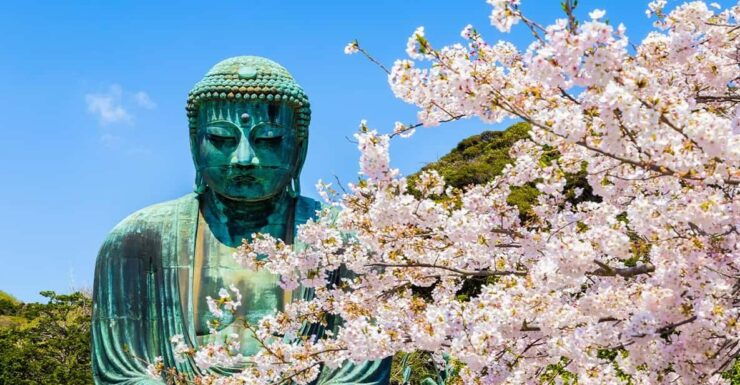 From Tokyo: Kamakura Buddha, Enoshima,Shrine,Enoden Day Trip - Good To Know