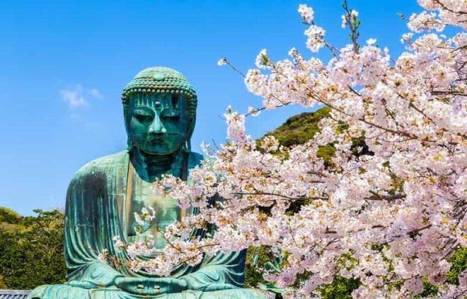From Tokyo: Kamakura Buddha, Enoshima,Shrine,Enoden Day Trip - Scenic Enoden Tram Ride