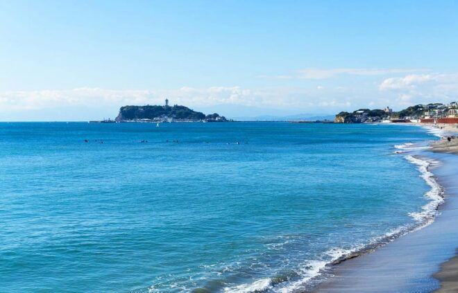 From Tokyo: Kamakura Buddha, Enoshima,Shrine,Enoden Day Trip - Tsurugaoka Hachimangu Shrine