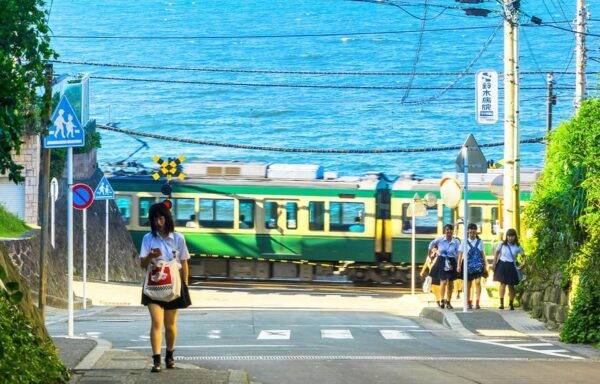 From Tokyo: Kamakura Buddha, Enoshima,Shrine,Enoden Day Trip - Shopping on Komachi Street