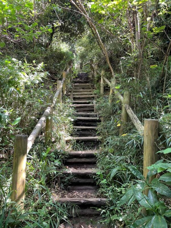 From Tokyo: Kamakura Daibutsu Trail & Tour to Great Buddha - Exploring the Kamakura Daibutsu Trail & Tour to Great Buddha: An Authentic Day in Honshu