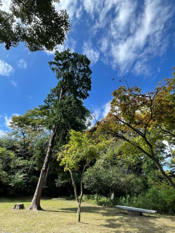 From Tokyo: Kamakura Daibutsu Trail & Tour to Great Buddha - Good To Know
