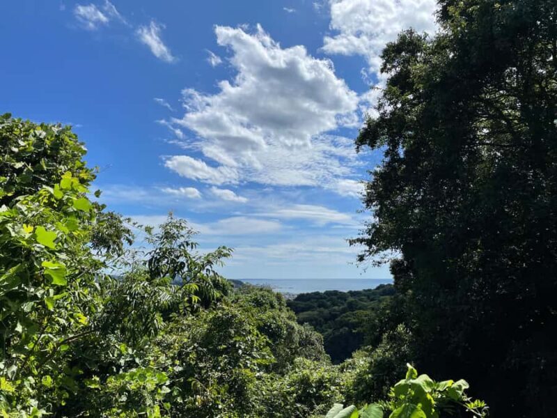 From Tokyo: Kamakura Daibutsu Trail & Tour to Great Buddha - Free Time and Local Charm