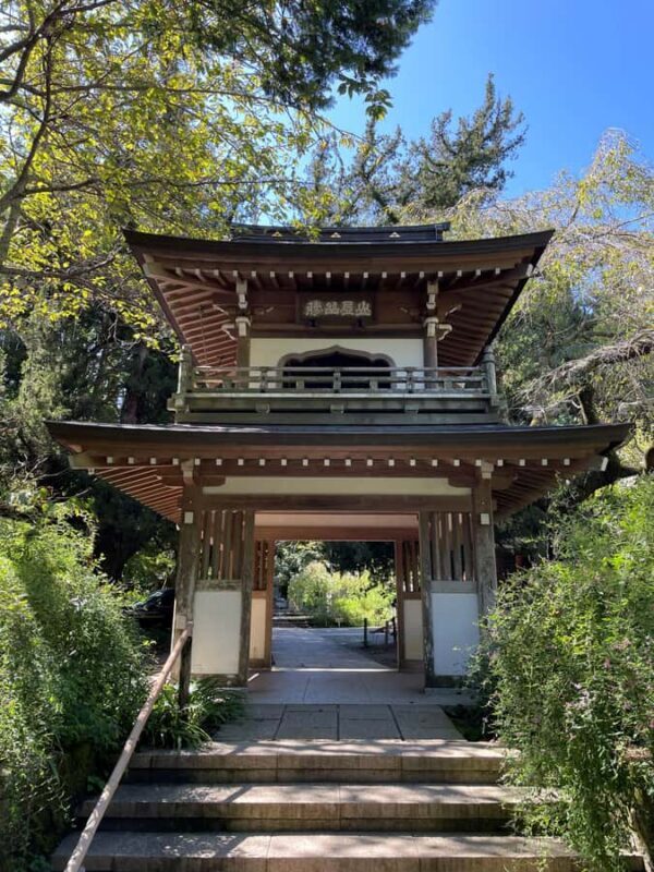 From Tokyo: Kamakura Daibutsu Trail & Tour to Great Buddha - Why This Tour Works for You