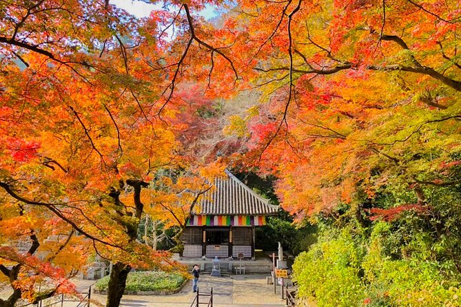 From Tokyo: Kamakura & Enoshima - One Day Trip - Tips for a Smooth One Day Trip