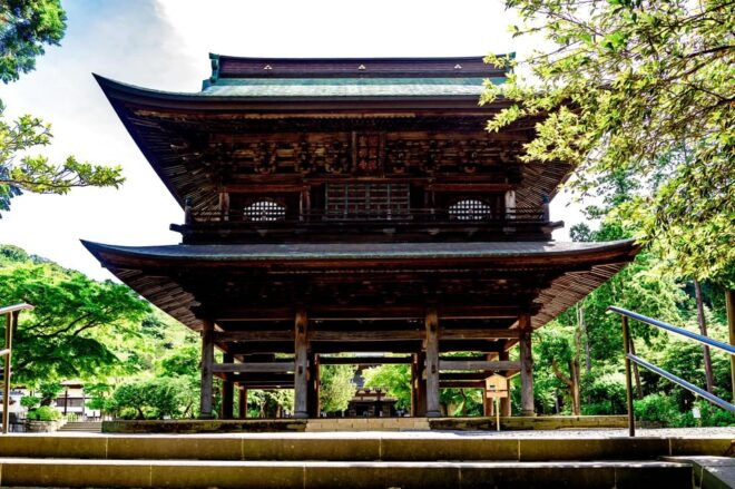 From Tokyo: Kamakura, Enoshima Private Day Tour - Group Size and Experience