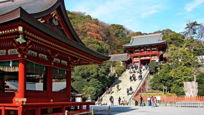 From Tokyo: Kamakura Full Day Tour with a Local Expert Guide - Good To Know