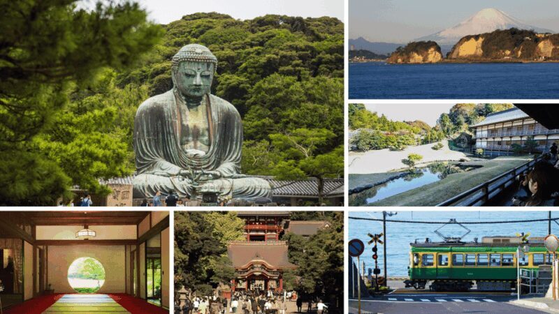 From Tokyo: Kamakura Full Day Tour with a Local Expert Guide - A Deep Dive into the Kamakura Full Day Tour