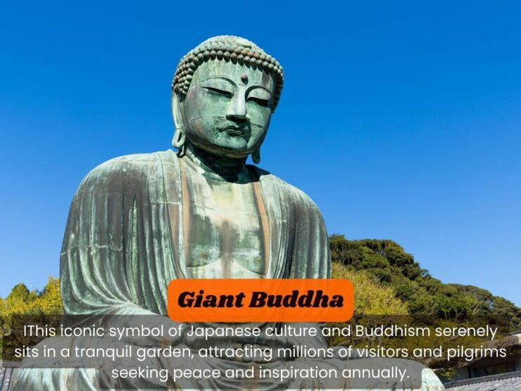 From Tokyo: Kamakura, Hachimangu, Enoshima Private Day Trip - Good To Know