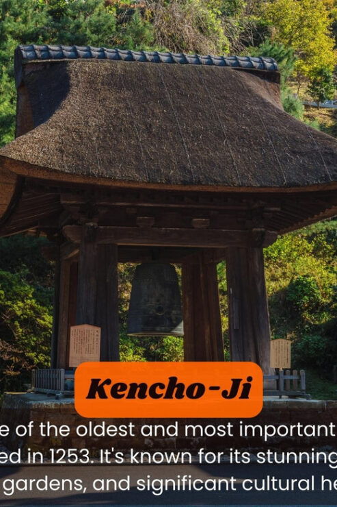 From Tokyo: Kamakura, Hachimangu, Enoshima Private Day Trip - Itinerary Highlights