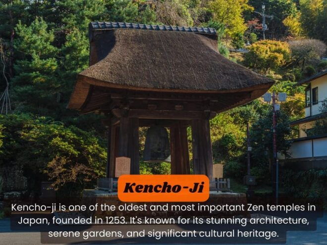 From Tokyo: Kamakura, Hachimangu, Enoshima Private Day Trip - Inclusions and Services