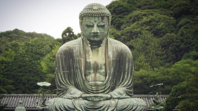 From Tokyo: Kamakura, Hachimangu, Enoshima Private Day Trip - Important Information