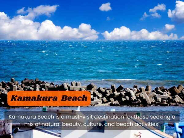 From Tokyo: Kamakura, Hachimangu, Enoshima Private Day Trip - Travel Tips for Your Trip