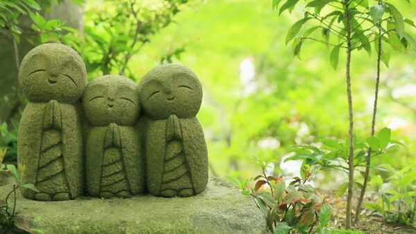 From Tokyo: Kamakura, Hachimangu, Enoshima Private Day Trip - Best Times to Visit