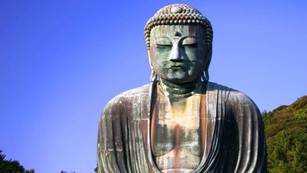 From Tokyo: Kamakura, Hachimangu, Enoshima Private Day Trip - Additional Activities Nearby