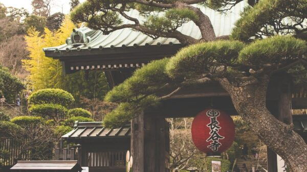 From Tokyo: Kamakura, Hachimangu, Enoshima Private Day Trip - Frequently Asked Questions