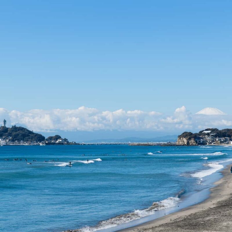 From Tokyo: Kamakura Private Historical & Cultural Day Trip - The Journey Begins: Convenience and Personalization