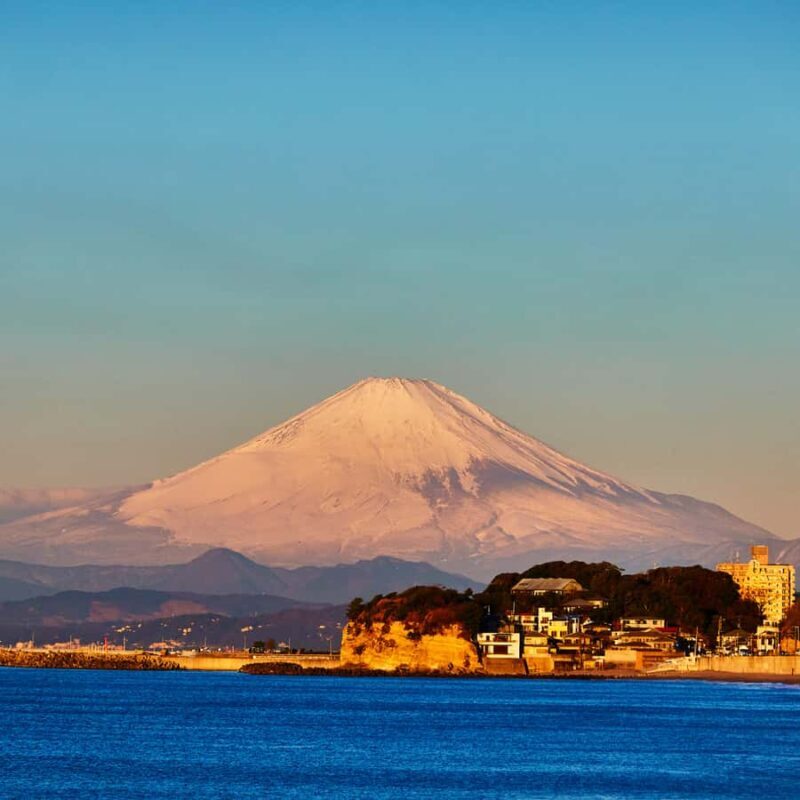 From Tokyo: Kamakura Private Historical & Cultural Day Trip - Authenticity and Value