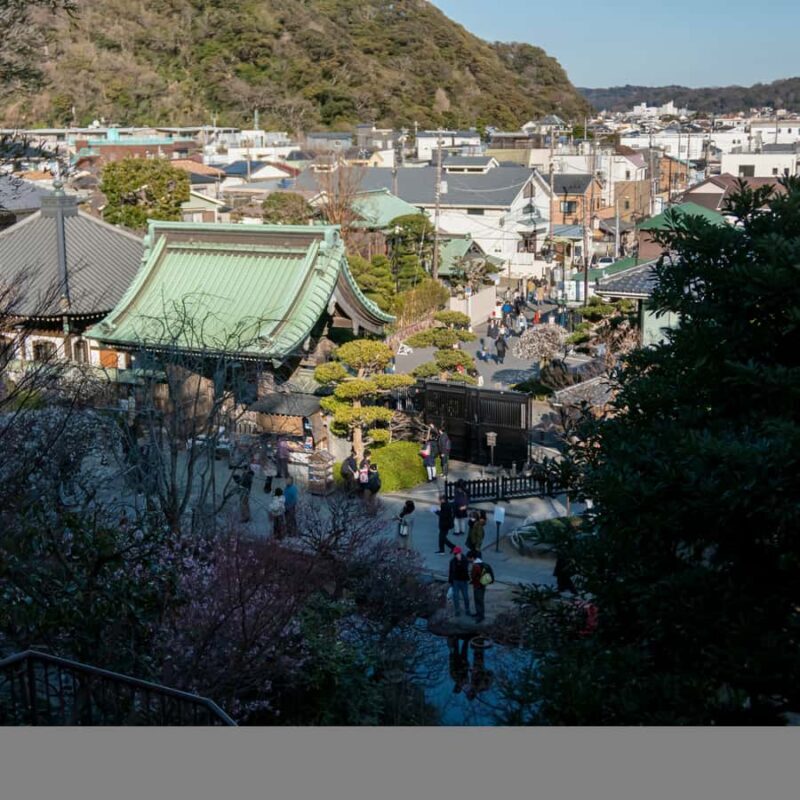 From Tokyo: Kamakura Private Historical & Cultural Day Trip - Good To Know