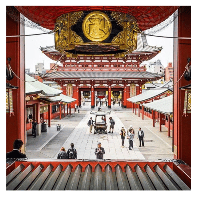 From Tokyo: Luxury Tokyo Private City Tour In Land Cruiser - Inclusions and Amenities