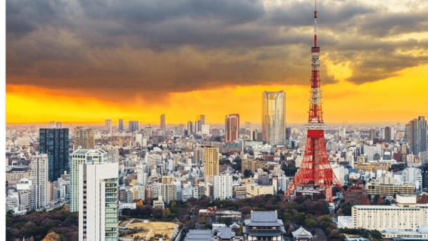 From Tokyo: Luxury Tokyo Private City Tour In Land Cruiser - Customization Options