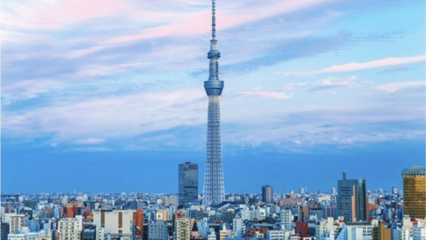From Tokyo: Luxury Tokyo Private City Tour In Land Cruiser - Contacting the Supplier