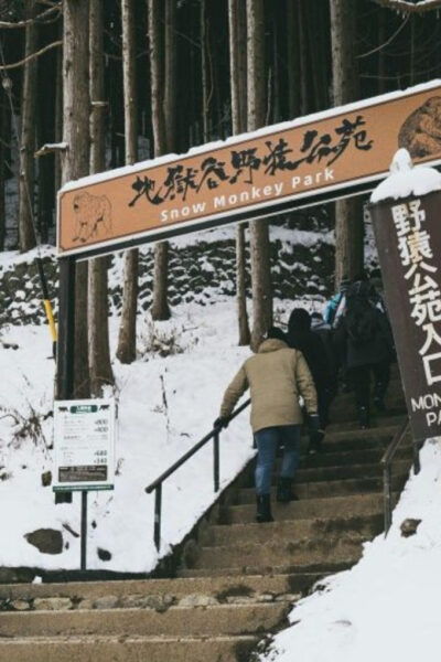 From Tokyo Memorabele Snow Monkey Park & Zenkoji Temple Tour - Important Tour Information