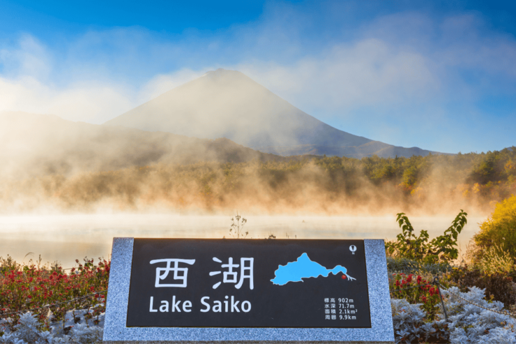 From Tokyo: Mount Fuji and Fuji 5 Lakes Private Guided Tour - Good To Know