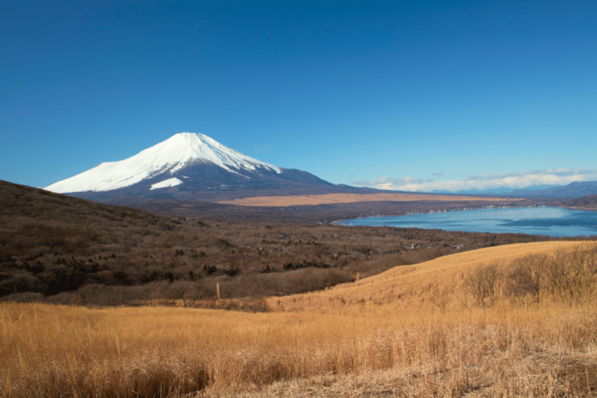 From Tokyo: Mount Fuji and Fuji 5 Lakes Private Guided Tour - Preparation and Recommendations