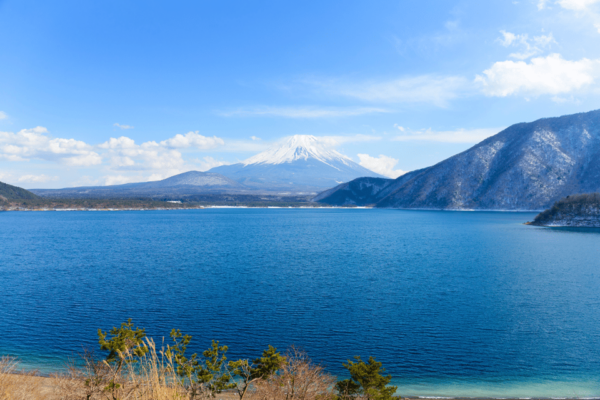 From Tokyo: Mount Fuji and Fuji 5 Lakes Private Guided Tour - Cancellation Policy
