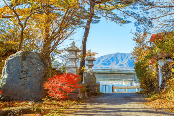 From Tokyo: Mount Fuji and Fuji 5 Lakes Private Guided Tour - Tips for an Enjoyable Experience