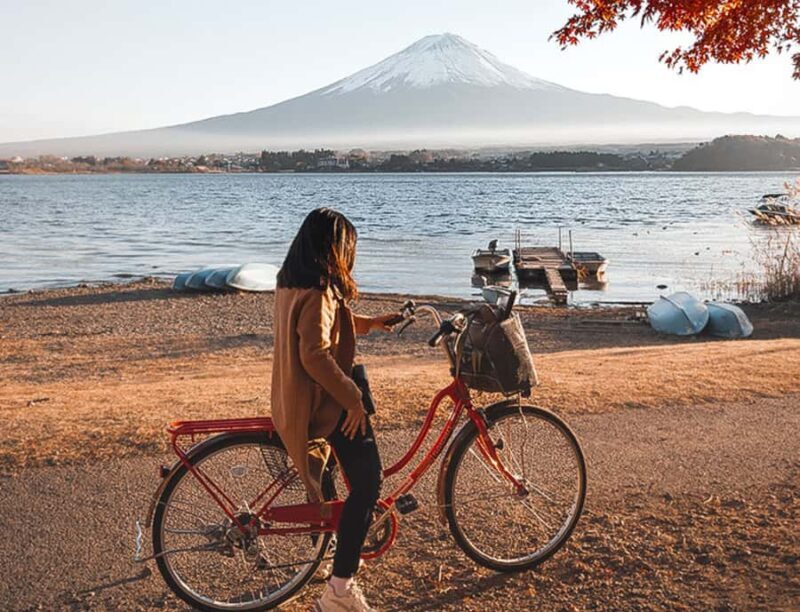 From Tokyo: Mount Fuji and Hakone Customizable Private Tour - Good To Know
