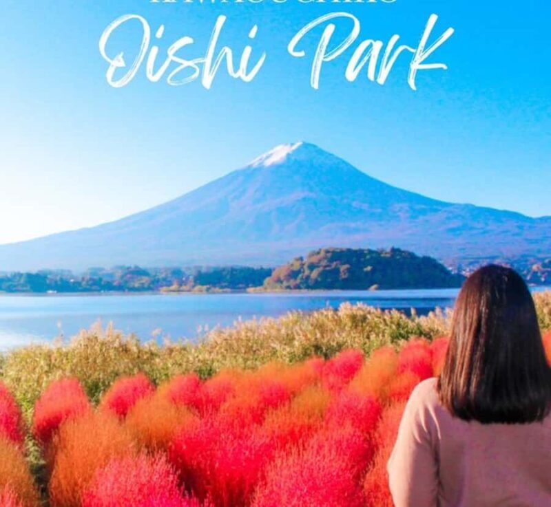 From Tokyo: Mount Fuji and Hakone Customizable Private Tour - Who Will Love This Tour?