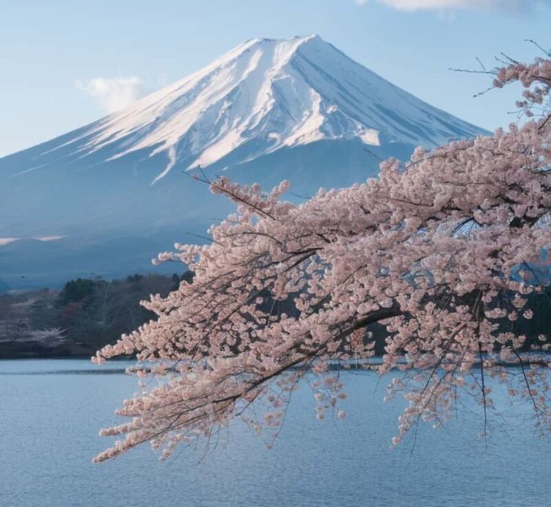 From Tokyo: Mount Fuji and Hakone Customizable Private Tour - FAQ