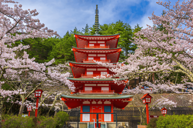 From Tokyo: Mount Fuji and Hakone Full Day Trip - Inclusions and Accessibility