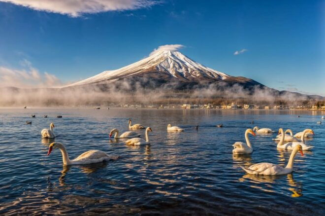 From Tokyo: Mount Fuji and Hakone Full Day Trip - Customer Reviews