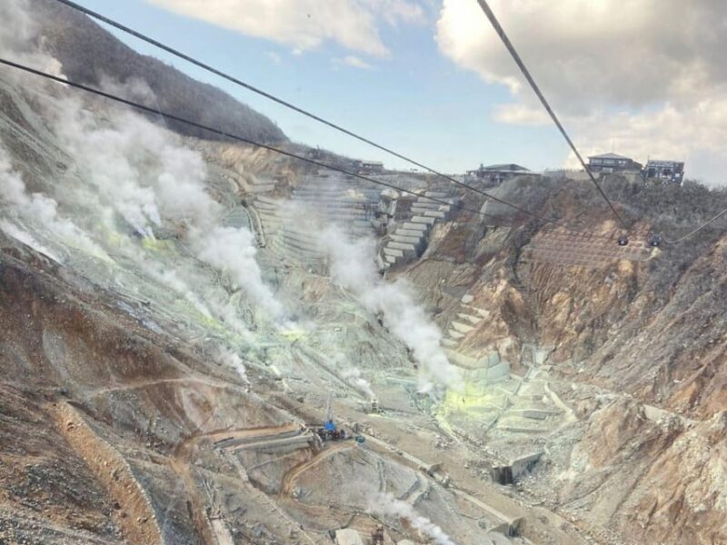 From Tokyo: Mount Fuji and Hakone Private Day Tour - Who Would Love This Tour?