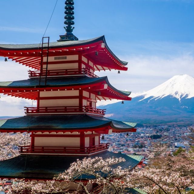 From Tokyo: Mount Fuji and Hakone Private Day Tour - Tour Highlights