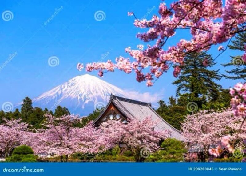 From Tokyo: Mount Fuji And Hakone Private Full Day Trip - FAQ