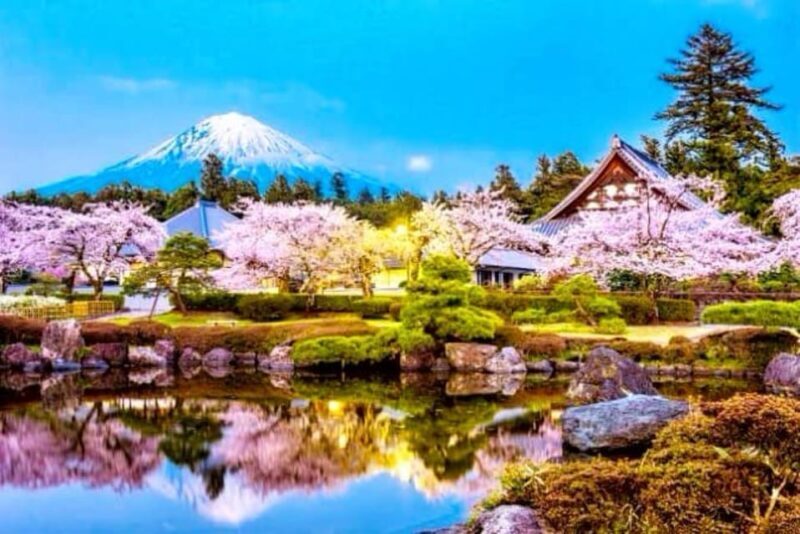 From Tokyo: Mount Fuji And Hakone Private Full Day Trip - Good To Know  