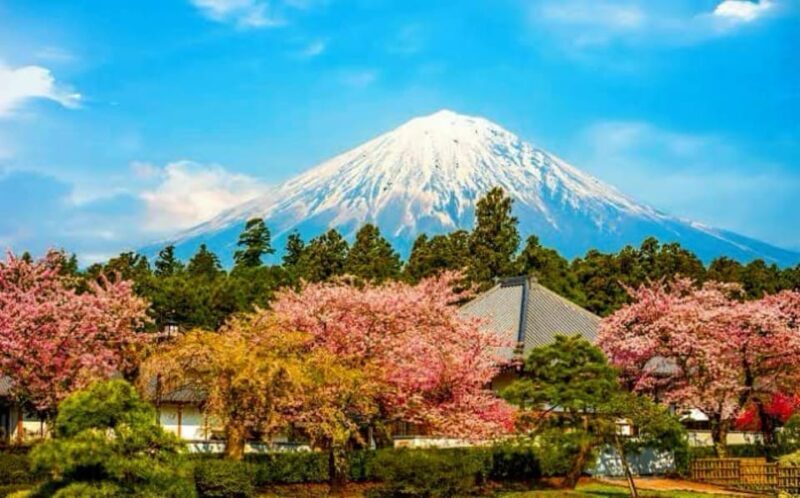 From Tokyo: Mount Fuji And Hakone Private Full Day Trip - The Sum Up