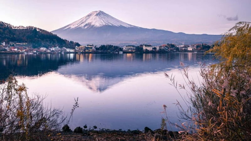 From Tokyo: Mount Fuji And Hakone Private Full Day Trip - The Experience: An In-Depth Look