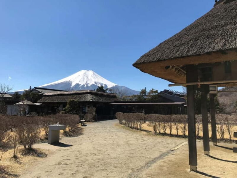 From Tokyo: Mount Fuji And Hakone Private Full Day Trip - Good To Know