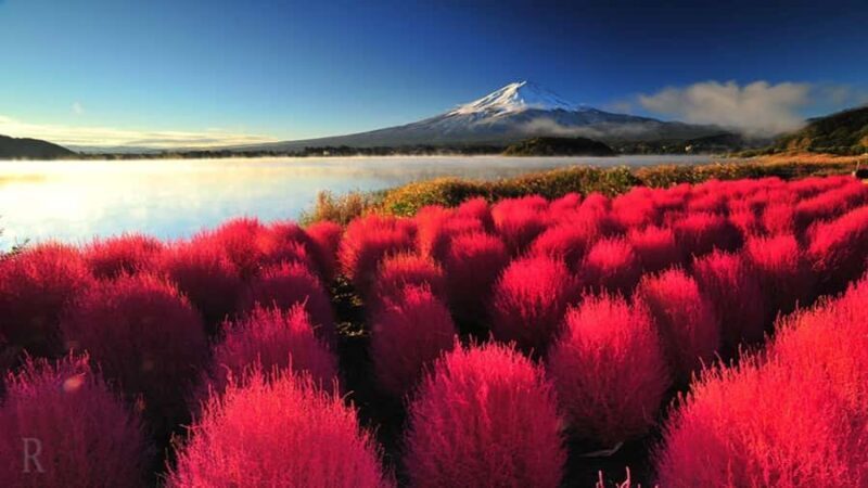 From Tokyo: Mount Fuji Customizable Guided Full Day Tour - Good To Know
